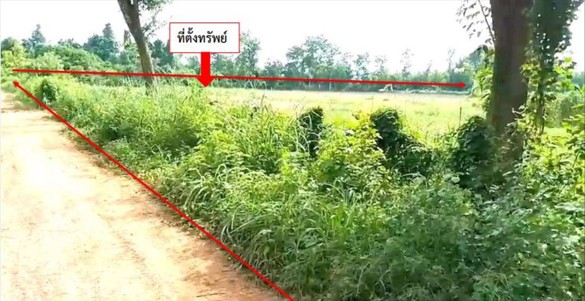 รูปที่ดินว่างเปล่า นาพู่ เพ็ญ อุดรธานี