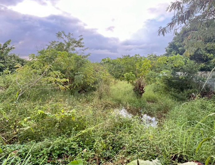 รูปที่ดินว่างเปล่า หนองไผ่ ชุมแพ ขอนแก่น