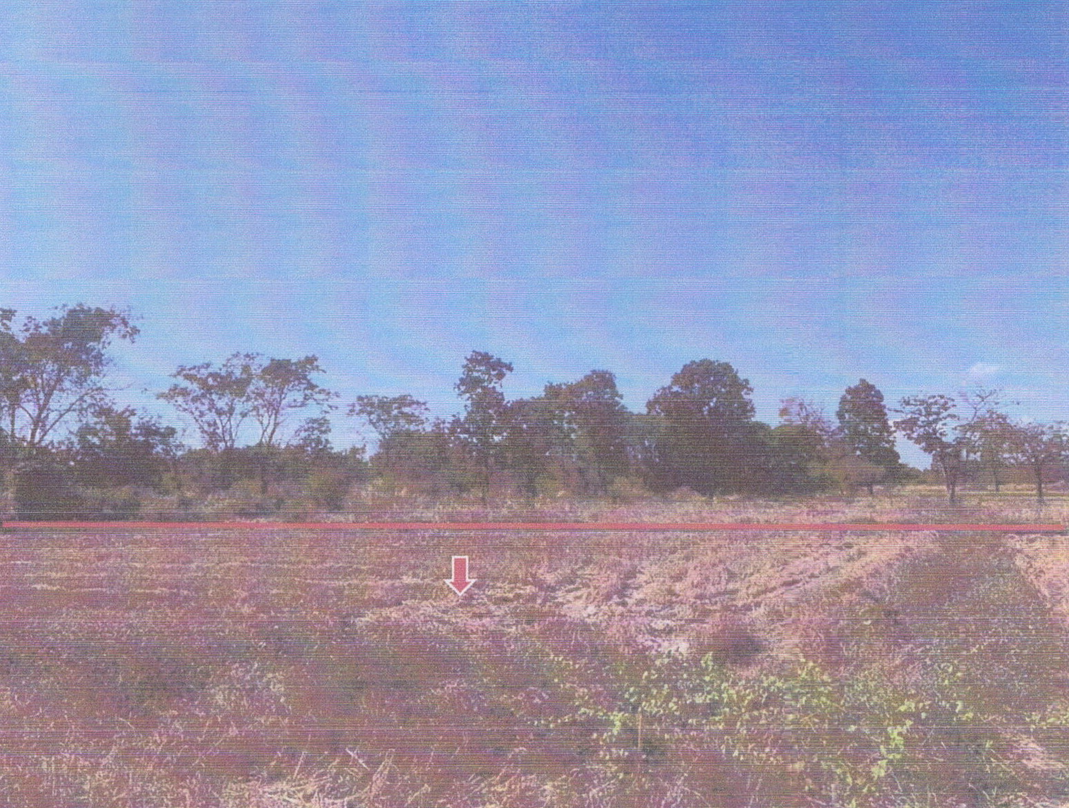รูปที่ดินว่างเปล่า โพนทอง เมืองชัยภูมิ ชัยภูมิ