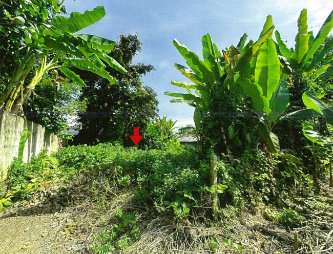 รูปที่ดินว่างเปล่า สันทราย ฝาง เชียงใหม่