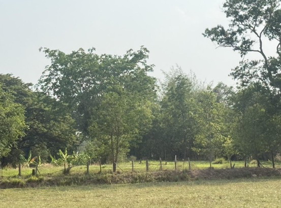 รูปที่ดินว่างเปล่า หนองม่วง บรบือ มหาสารคาม