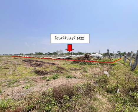 รูปที่ดินว่างเปล่า หนองช้าง สามชัย กาฬสินธุ์