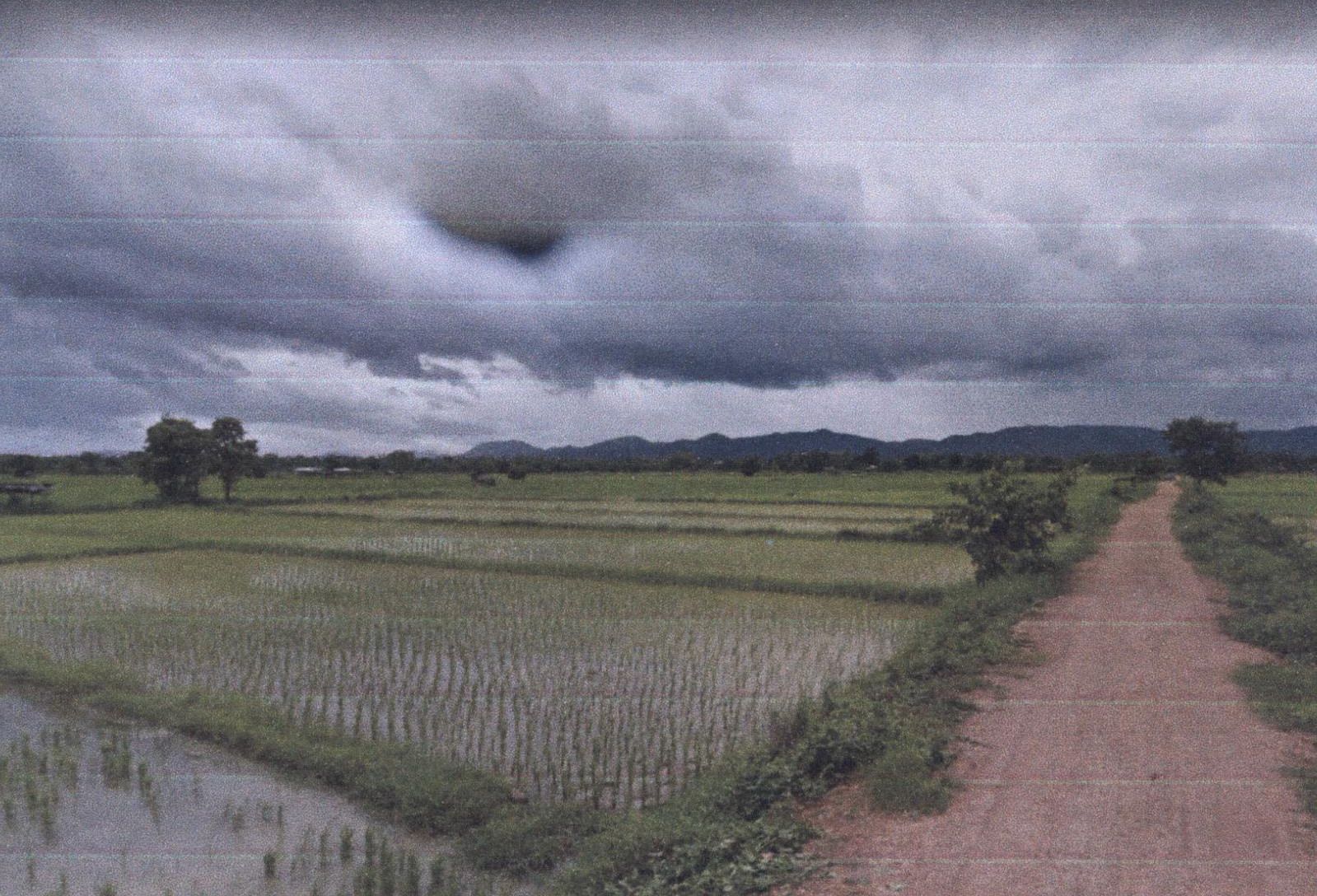 รูปที่ดินว่างเปล่า ทุ่งกวาว เมืองแพร่ แพร่