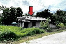 รูปที่ดินพร้อมสิ่งปลูกสร้าง ลอ จุน พะเยา