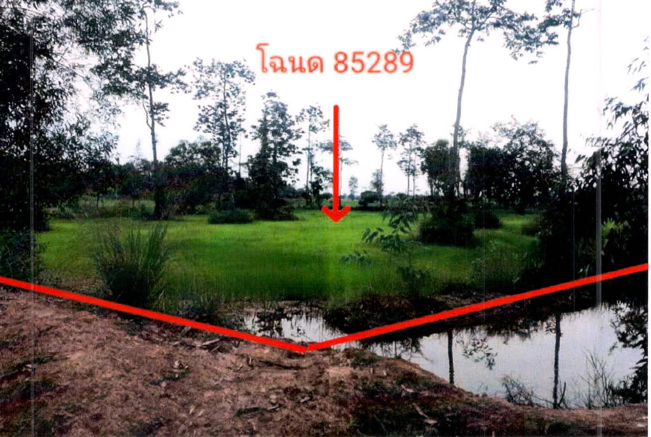 รูปที่ดินว่างเปล่า น้ำคำ เมืองศรีสะเกษ ศรีสะเกษ