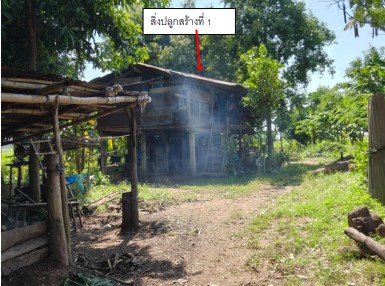 รูปที่ดินพร้อมสิ่งปลูกสร้าง ศรีภิรมย์ พรหมพิราม พิษณุโลก