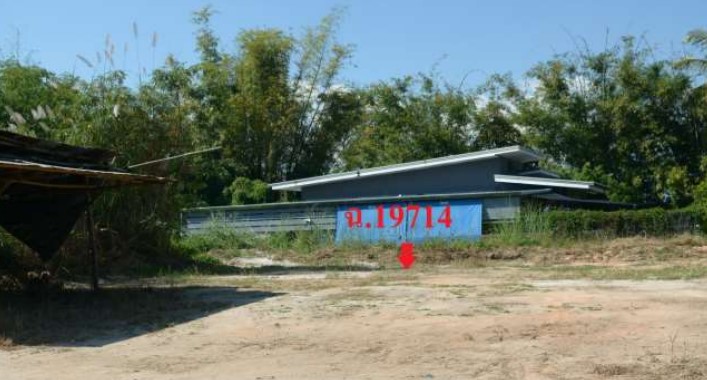 รูปที่ดินว่างเปล่า แม่คะ ฝาง เชียงใหม่