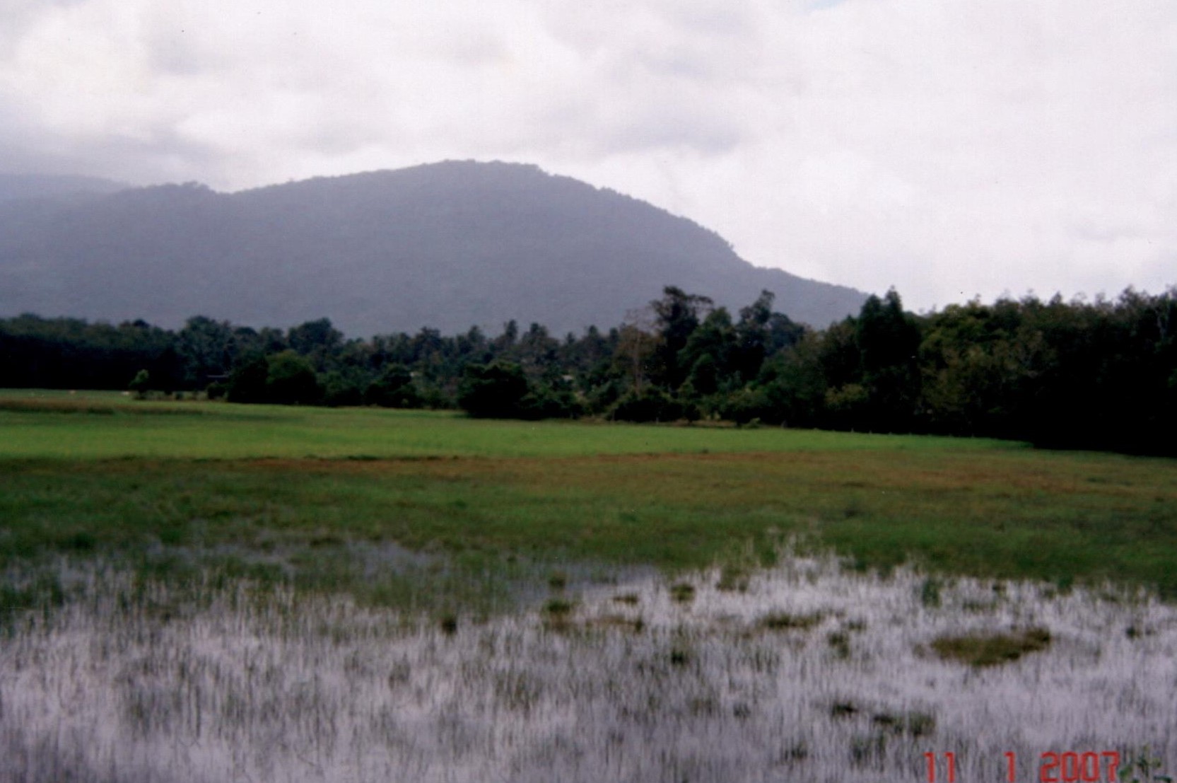 รูปที่ดินว่างเปล่า ปะลุกาสาเมาะ บาเจาะ นราธิวาส
