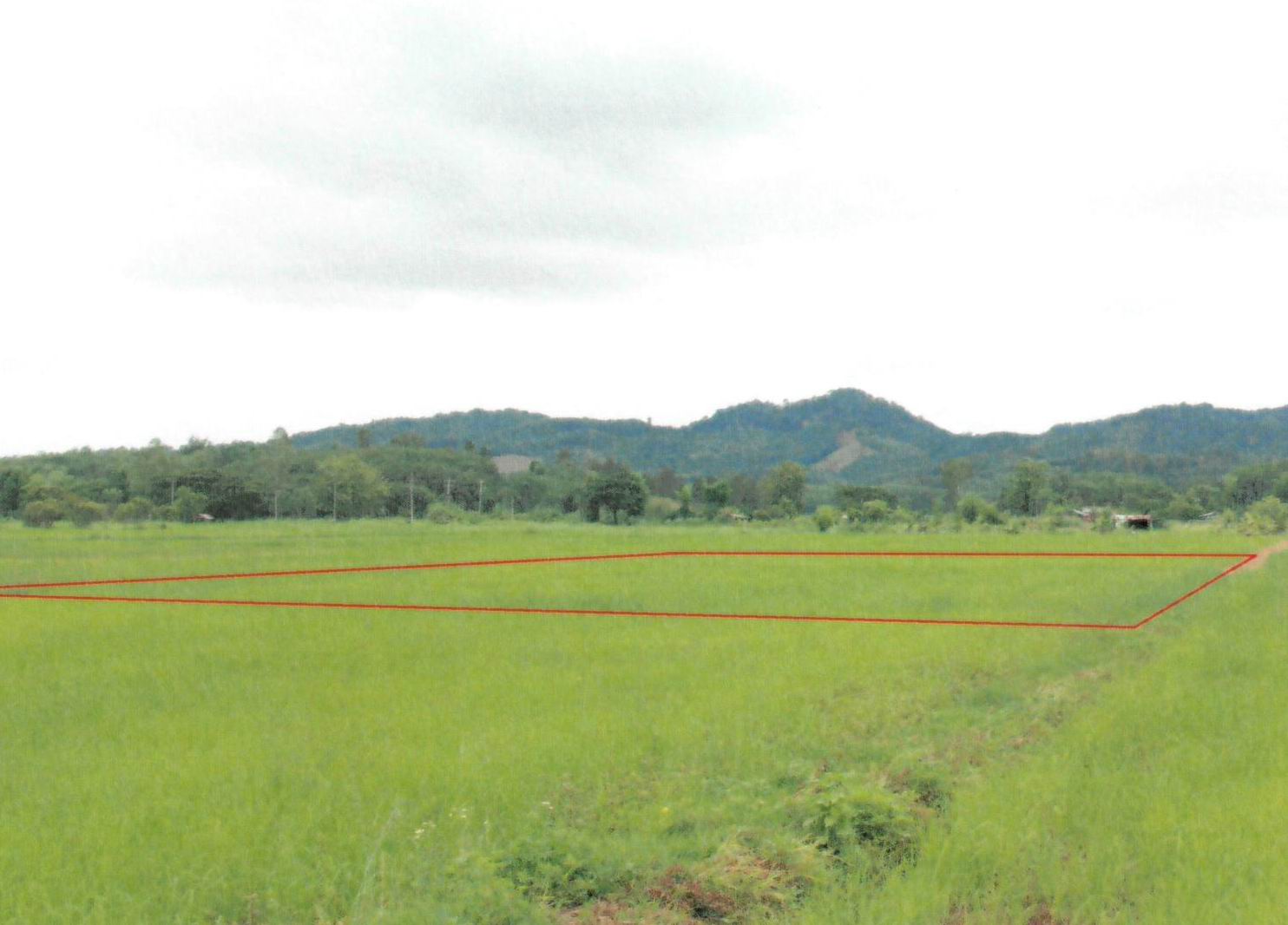 รูปที่ดินว่างเปล่า เม็งราย พญาเม็งราย เชียงราย