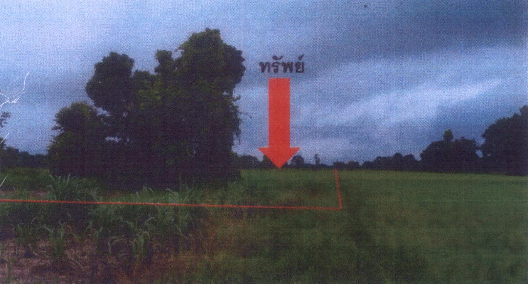 รูปที่ดินว่างเปล่า บึงทับแรต ลานกระบือ กำแพงเพชร