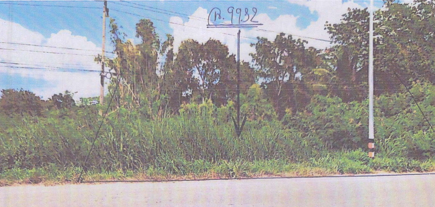 รูปที่ดินว่างเปล่า หนองบัวระเหว หนองบัวระเหว ชัยภูมิ