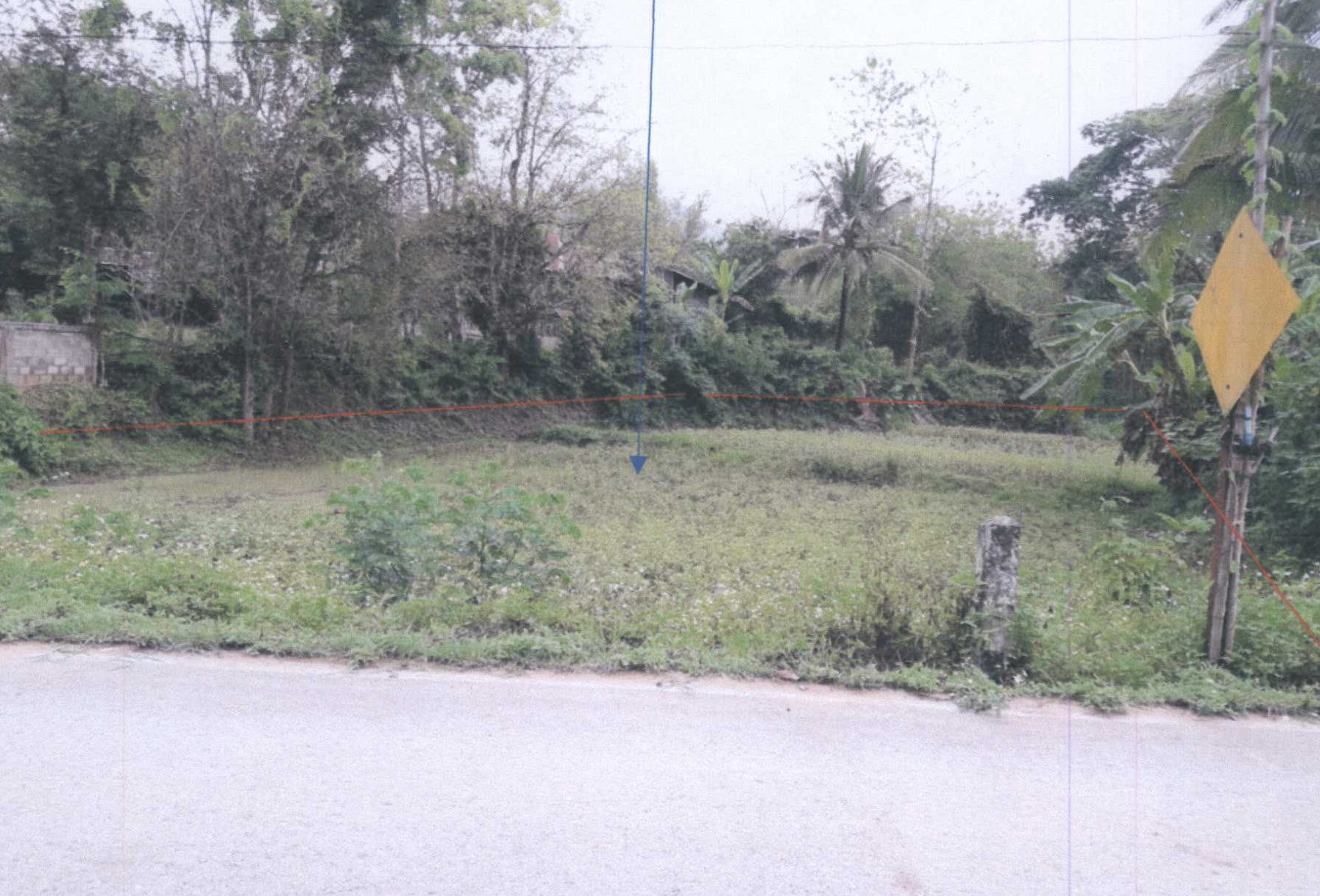 รูปที่ดินว่างเปล่า เชียงม่วน เชียงม่วน พะเยา