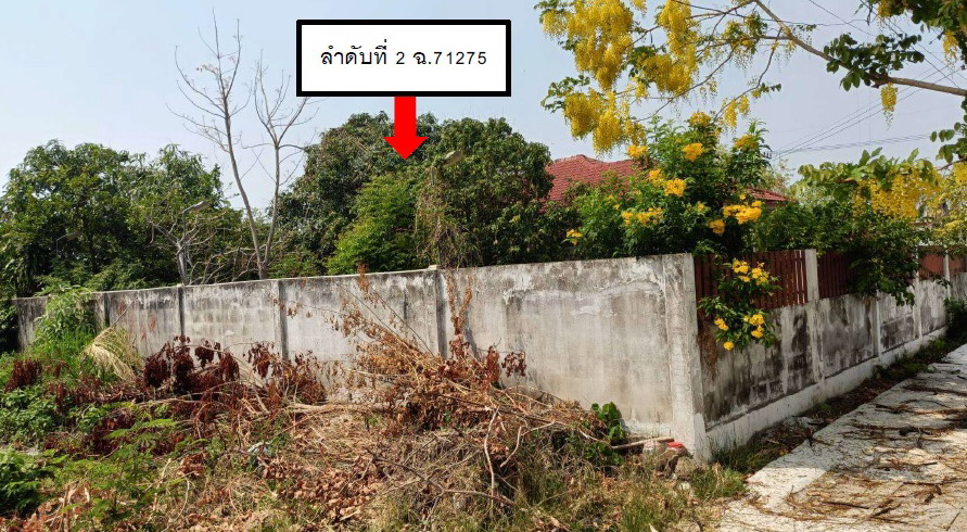 รูปที่ดินว่างเปล่า เสม็ด เมืองบุรีรัมย์ บุรีรัมย์