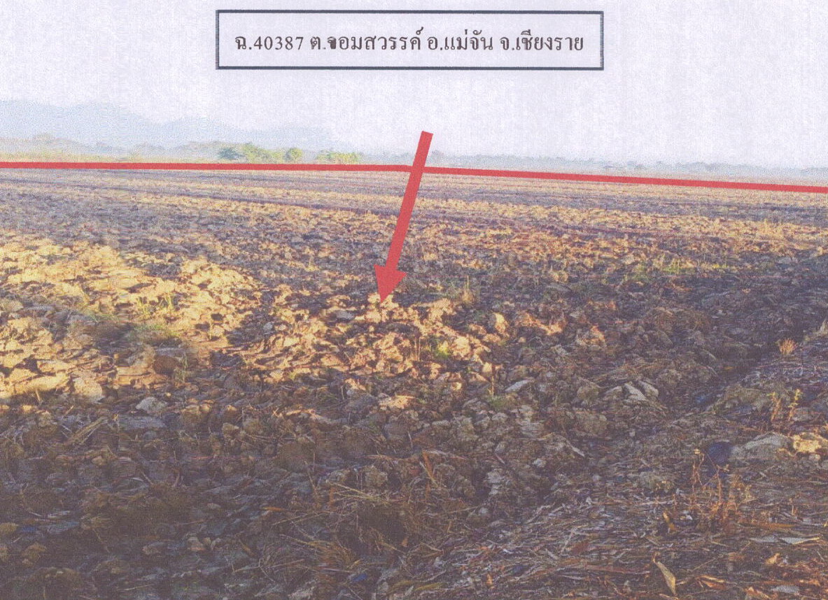 รูปที่ดินว่างเปล่า จอมสวรรค์ แม่จัน เชียงราย