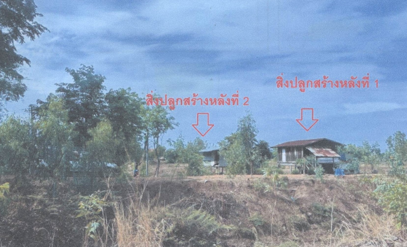 รูปที่ดินพร้อมสิ่งปลูกสร้าง หนองพยอม ตะพานหิน พิจิตร