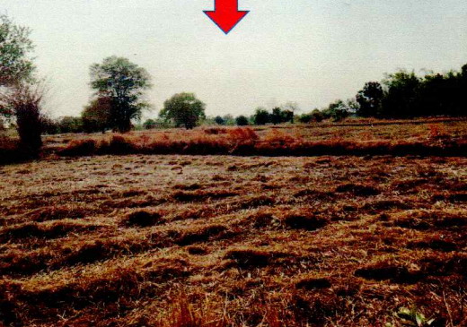รูปที่ดินว่างเปล่า ตระการ ตระการพืชผล อุบลราชธานี