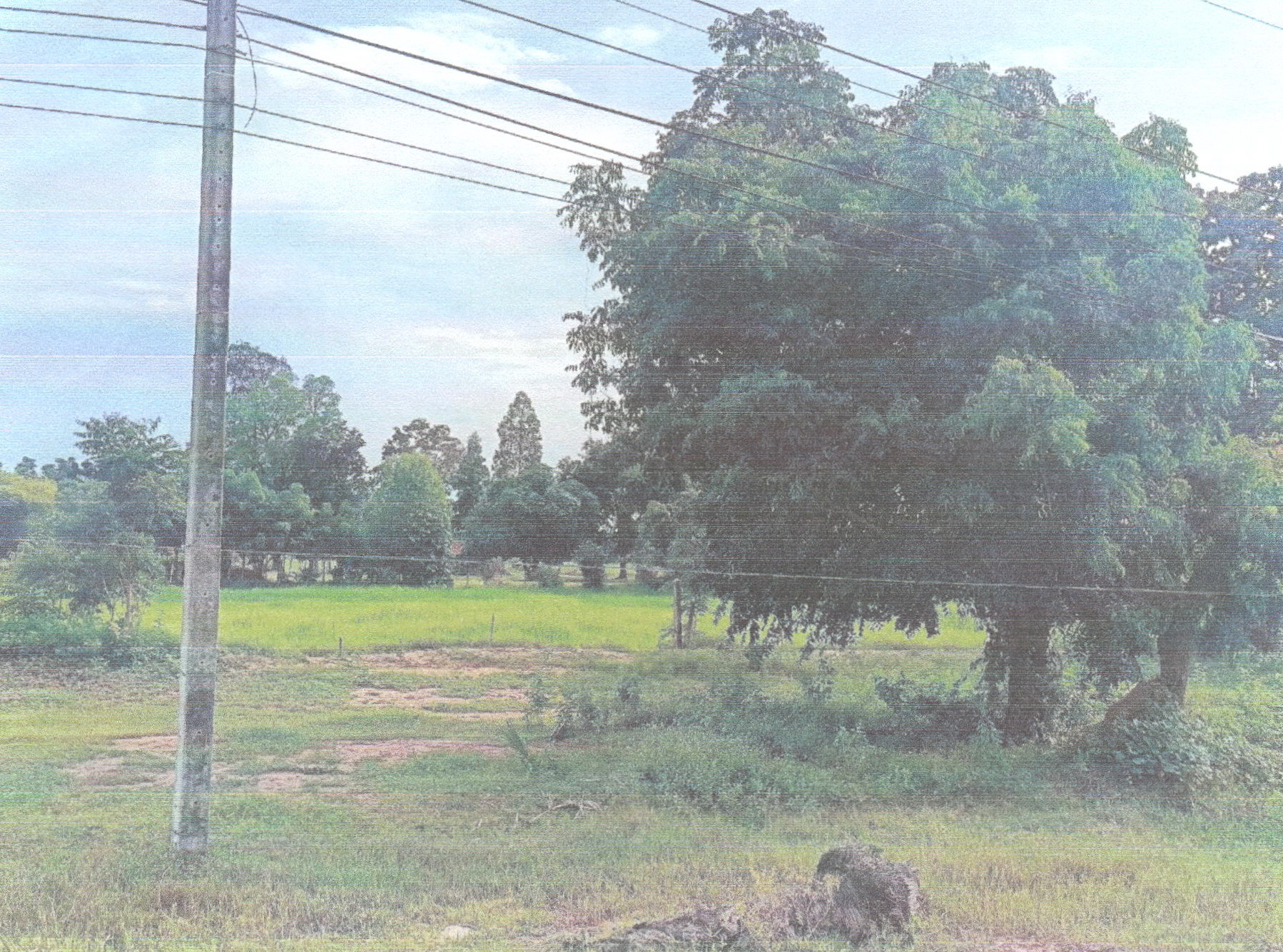 รูปที่ดินว่างเปล่า บ้านโสก คอนสวรรค์ ชัยภูมิ