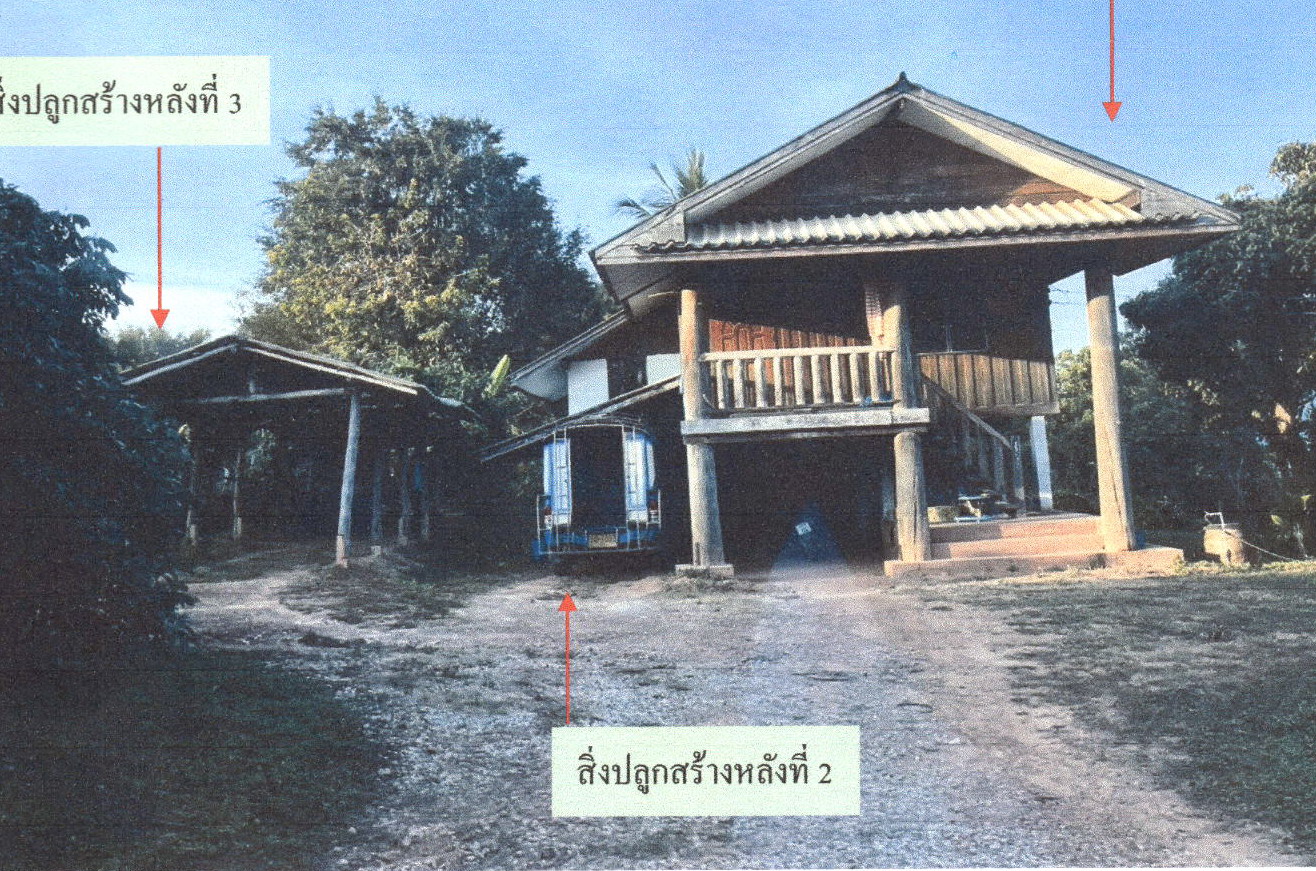 รูปที่ดินพร้อมสิ่งปลูกสร้าง ทุ่งหัวช้าง ทุ่งหัวช้าง ลำพูน