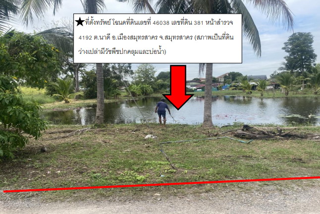 รูปที่ดินว่างเปล่า นาดี เมืองสมุทรสาคร สมุทรสาคร