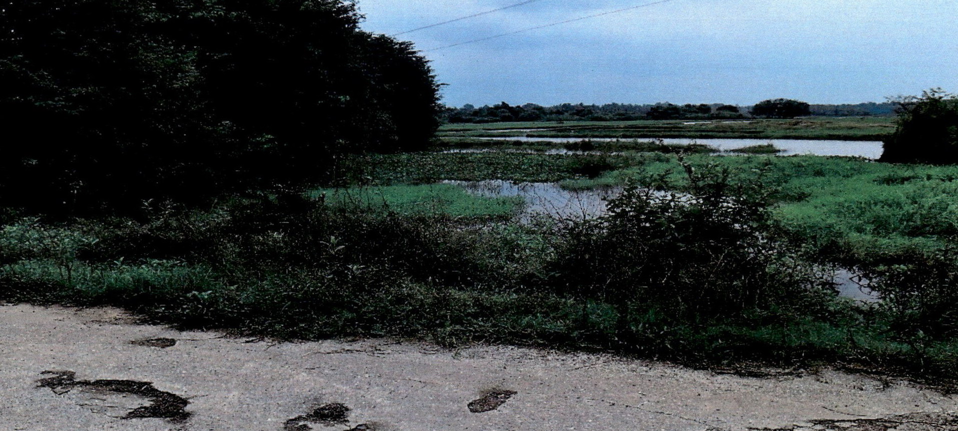 รูปที่ดินว่างเปล่า บาราเฮาะ เมืองปัตตานี ปัตตานี