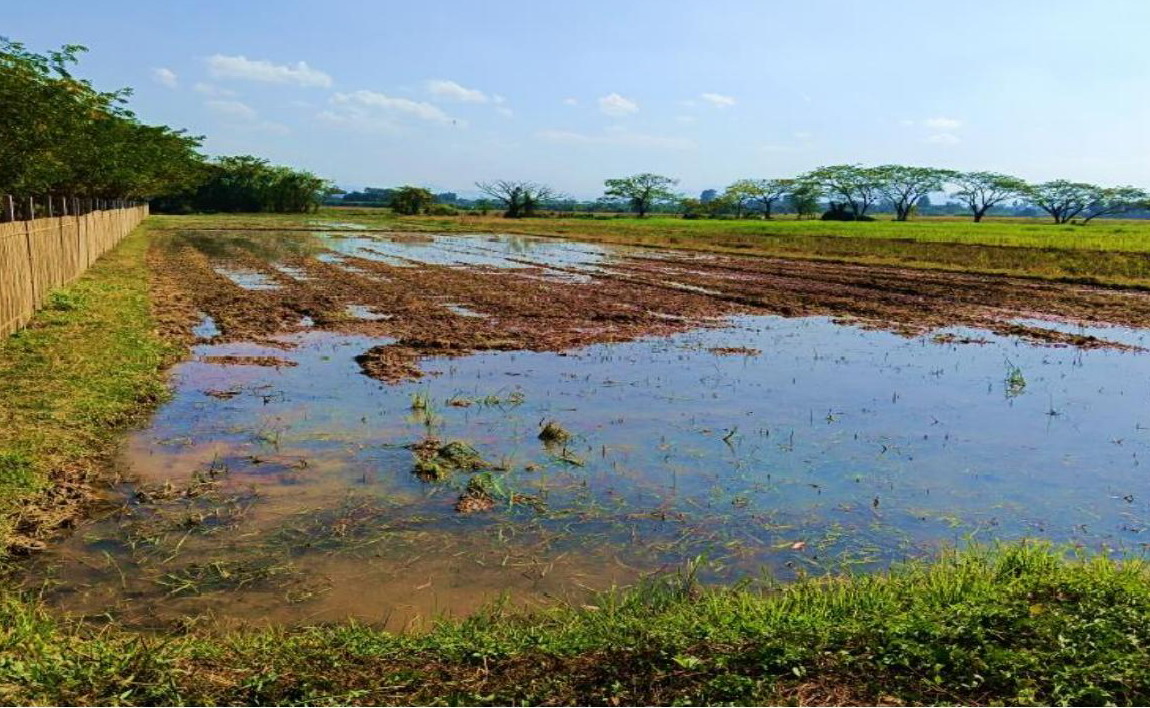 รูปที่ดินว่างเปล่า ท่าตุ้ม ป่าซาง ลำพูน