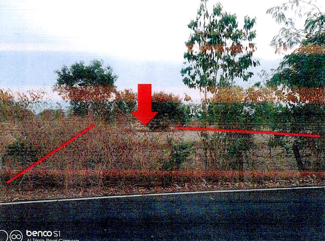 รูปที่ดินว่างเปล่า นาบัว เมืองสุรินทร์ สุรินทร์