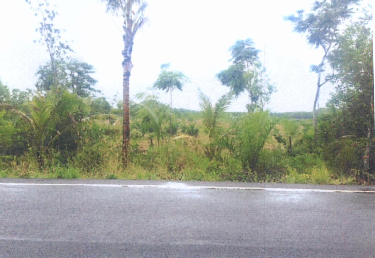 รูปที่ดินว่างเปล่า ทุ่งตำเสา หาดใหญ่ สงขลา