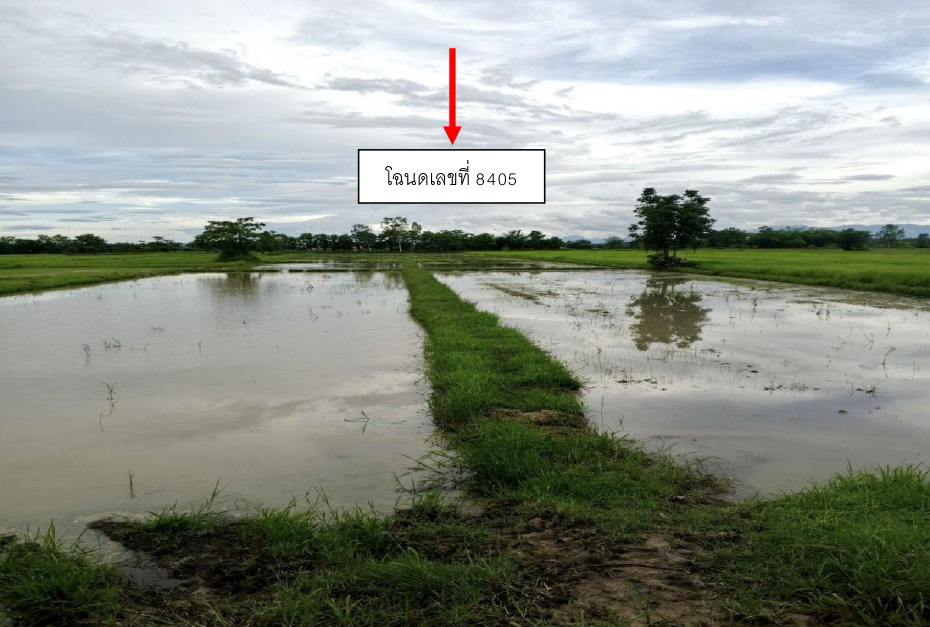 รูปที่ดินว่างเปล่า เจริญราษฎร์ แม่ใจ พะเยา