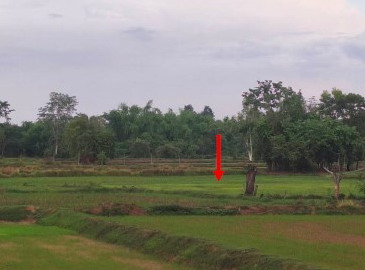 รูปที่ดินว่างเปล่า โพนบก โพนสวรรค์ นครพนม