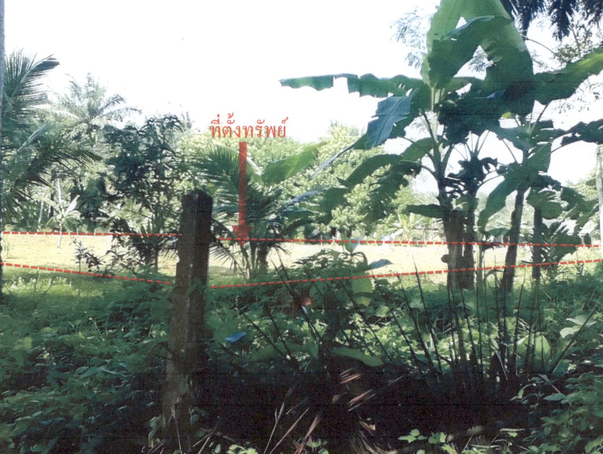 รูปที่ดินว่างเปล่า เขาพนม เขาพนม กระบี่