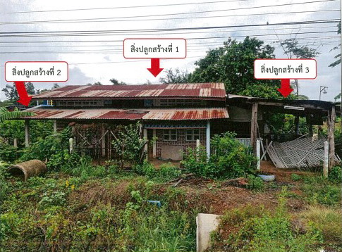 รูปที่ดินพร้อมสิ่งปลูกสร้าง ชอนสารเดช หนองม่วง ลพบุรี