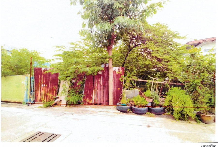 รูปที่ดินว่างเปล่า ท้ายบ้าน เมืองสมุทรปราการ สมุทรปราการ