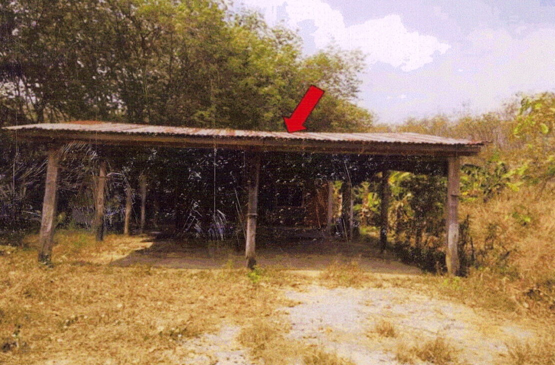 รูปที่ดินพร้อมสิ่งปลูกสร้าง หนองบัว บ้านค่าย ระยอง