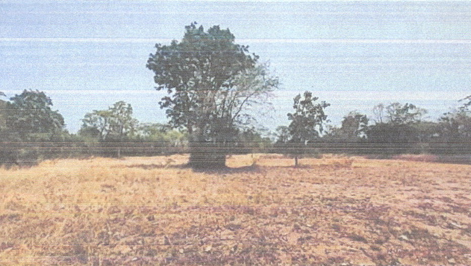 รูปที่ดินว่างเปล่า โพนทอง เมืองชัยภูมิ ชัยภูมิ