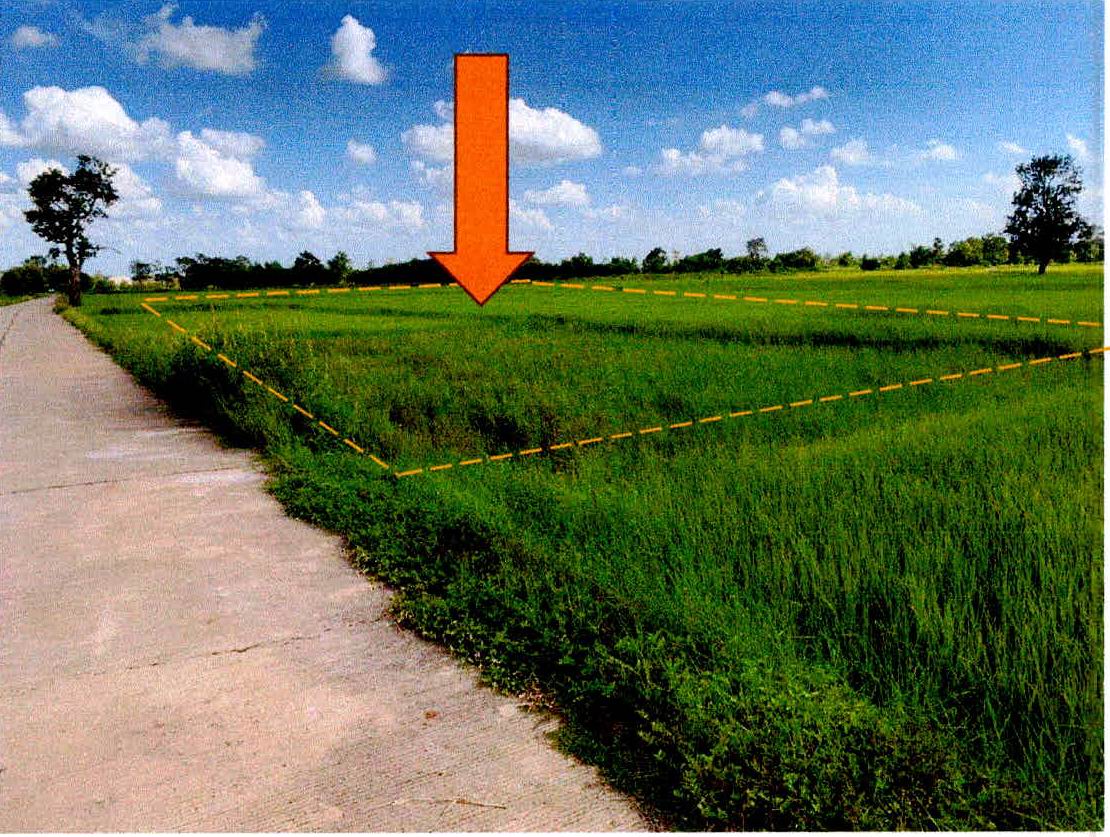 รูปที่ดินว่างเปล่า น้ำคำ เมืองศรีสะเกษ ศรีสะเกษ