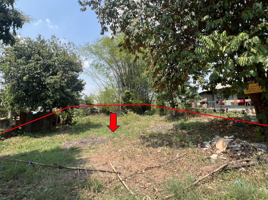 รูปที่ดินว่างเปล่า บ้านว่าน ท่าบ่อ หนองคาย