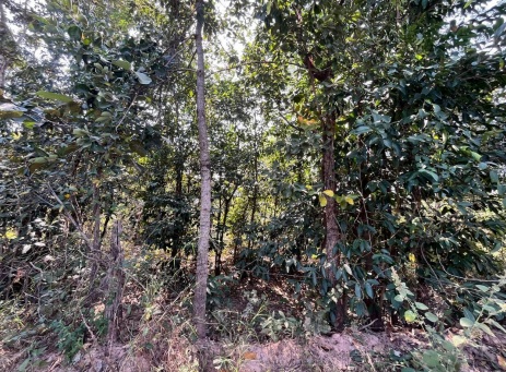 รูปที่ดินว่างเปล่า ตะกั่วป่า หนองสองห้อง ขอนแก่น