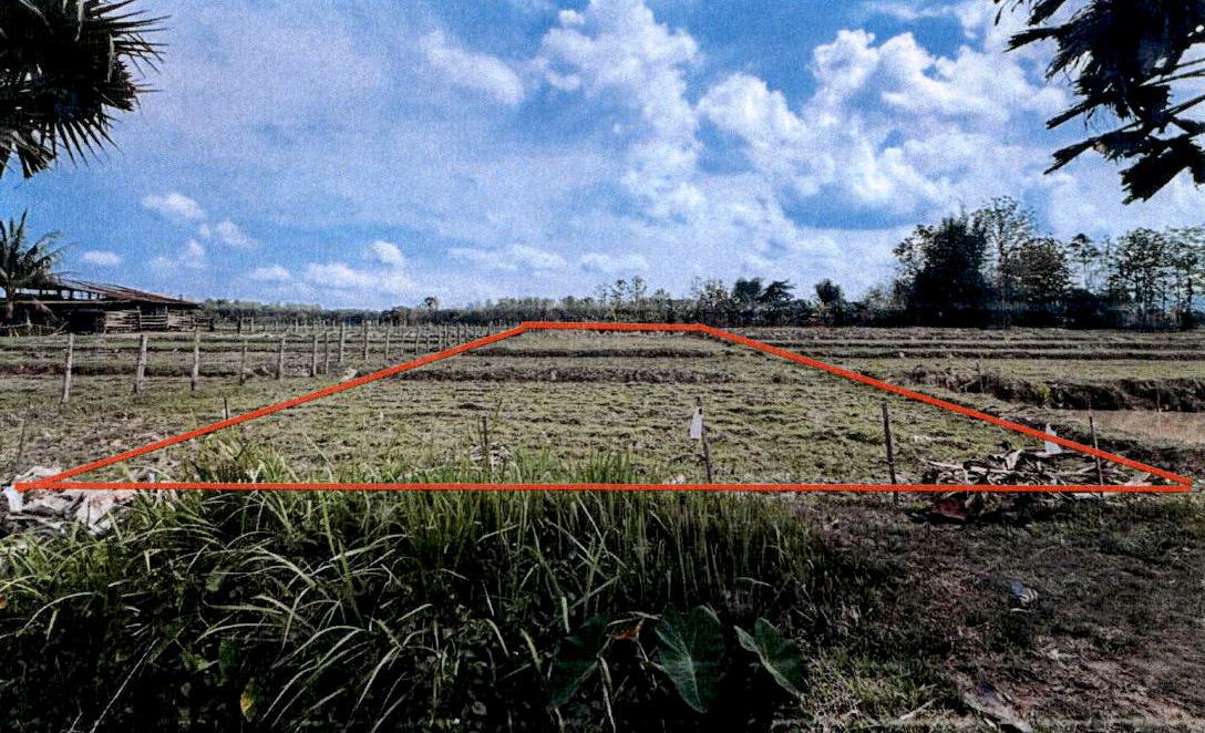 รูปที่ดินว่างเปล่า เมืองยาว ห้างฉัตร ลำปาง