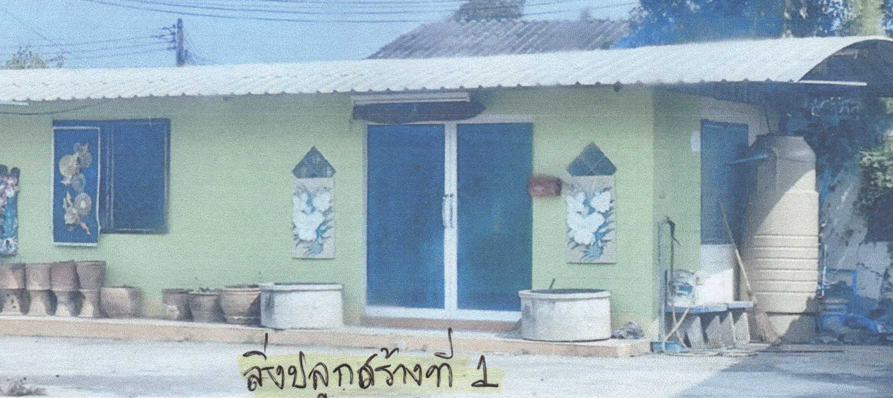 รูปที่ดินพร้อมสิ่งปลูกสร้าง หนองเต่า เก้าเลี้ยว นครสวรรค์
