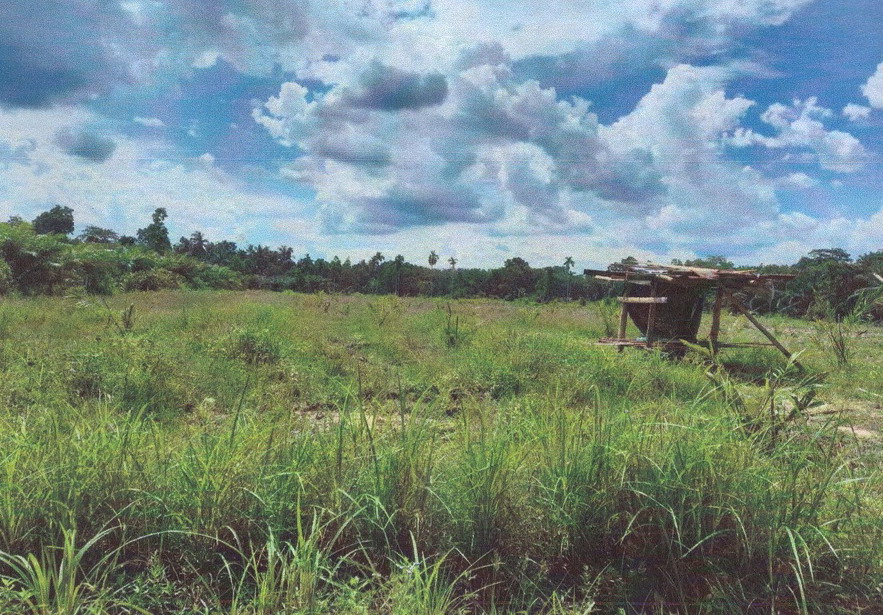 รูปที่ดินว่างเปล่า วังหิน บางขัน นครศรีธรรมราช
