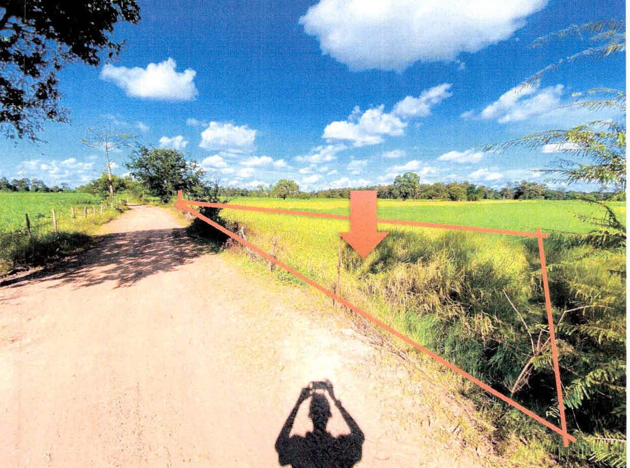 รูปที่ดินว่างเปล่า รังแร้ง อุทุมพรพิสัย ศรีสะเกษ