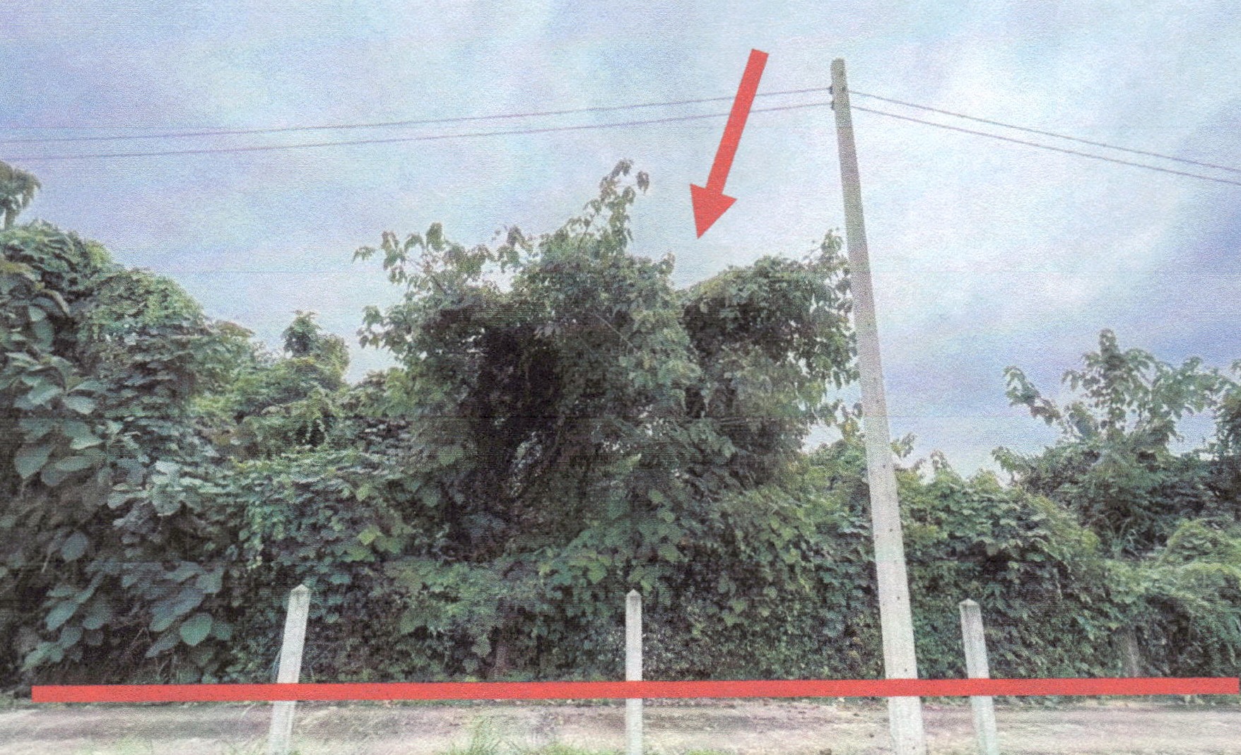 รูปที่ดินว่างเปล่า เมือง เมืองเลย เลย