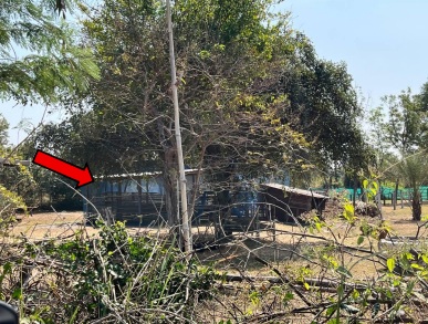 รูปที่ดินพร้อมสิ่งปลูกสร้าง ตะกั่วป่า หนองสองห้อง ขอนแก่น