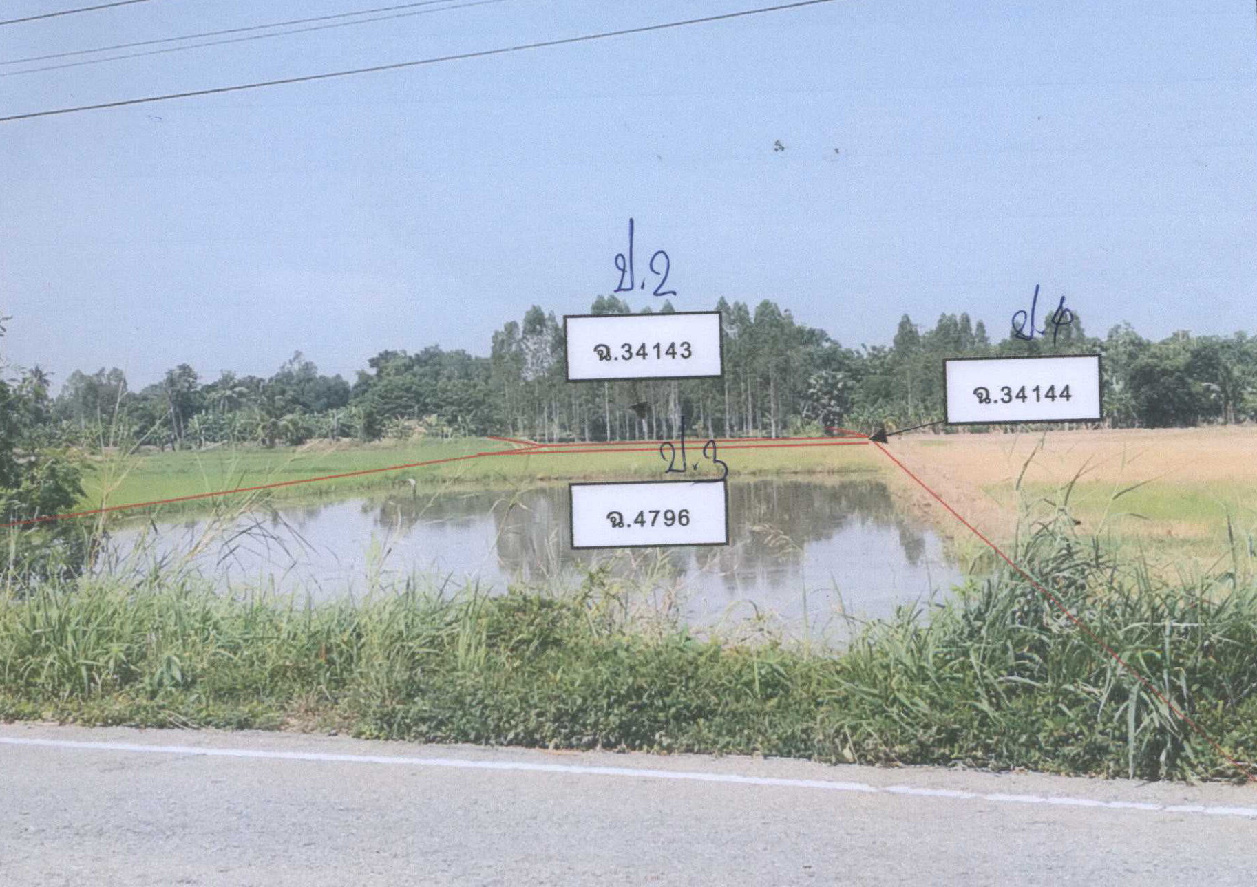 รูปที่ดินว่างเปล่า ฆะมัง ชุมแสง นครสวรรค์