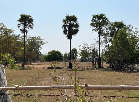 รูปที่ดินว่างเปล่า ตะกั่วป่า หนองสองห้อง ขอนแก่น