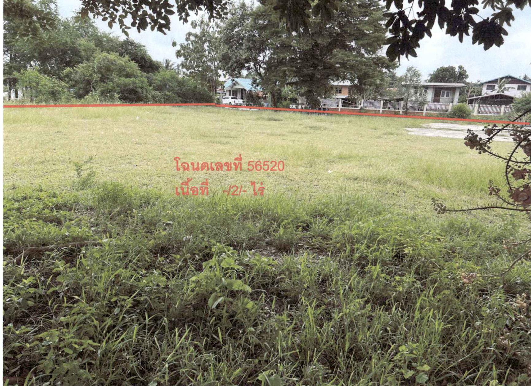 รูปที่ดินว่างเปล่า ตะเคียน ด่านขุนทด นครราชสีมา