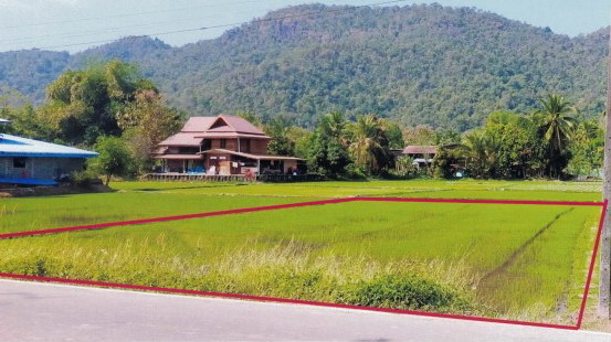 รูปที่ดินว่างเปล่า นาบัว นครไทย พิษณุโลก