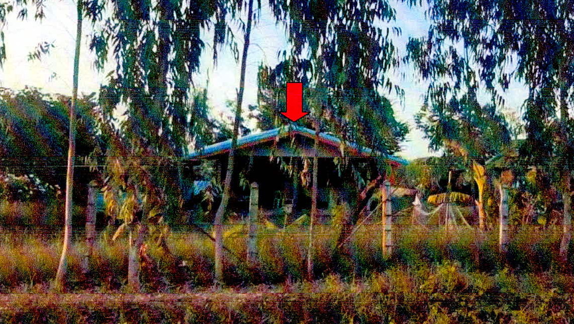 รูปที่ดินพร้อมสิ่งปลูกสร้าง โพธิ์ เมืองศรีสะเกษ ศรีสะเกษ
