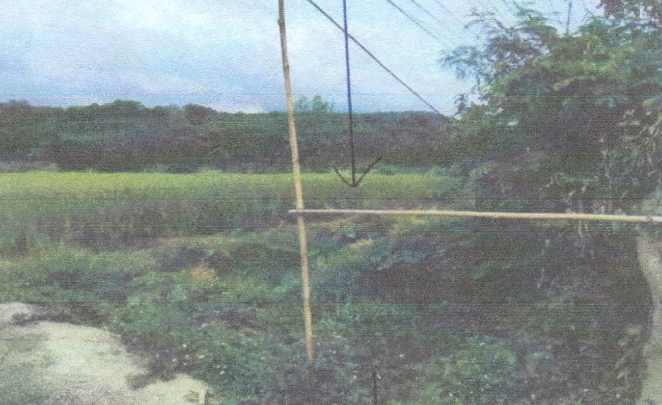 รูปที่ดินว่างเปล่า เมือง เมืองเลย เลย