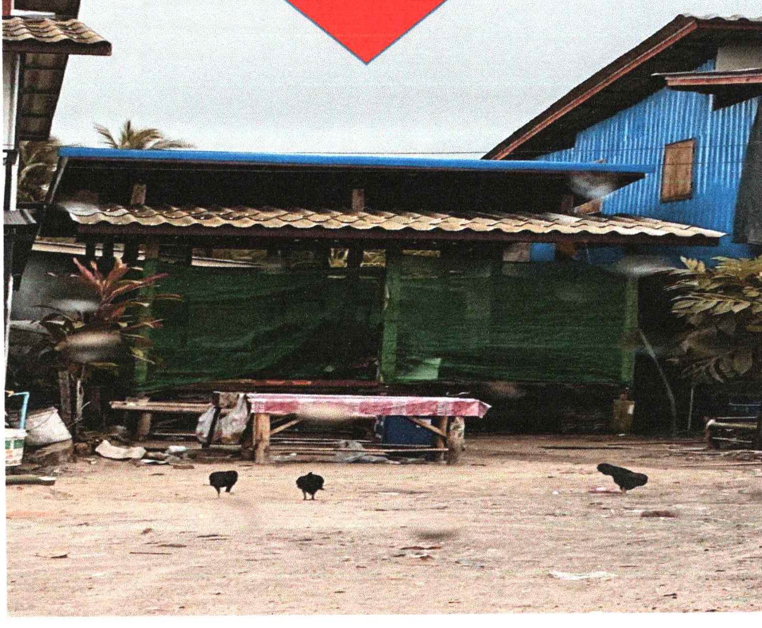 รูปที่ดินพร้อมสิ่งปลูกสร้าง ปะกาฮะรัง เมืองปัตตานี ปัตตานี